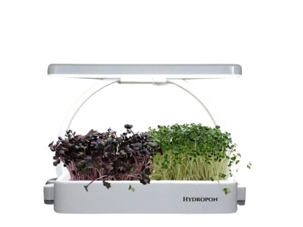 Microgreens Indoor-Garten – Frische Kräuter & Superfoods selbst kultivieren! – Bild 2