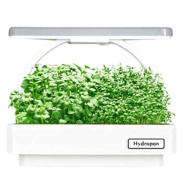 Microgreens Indoor-Garten – Frische Kräuter & Superfoods selbst kultivieren! – Bild 3