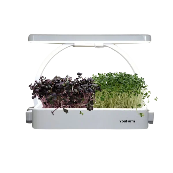 Microgreens Indoor-Garten – Frische Kräuter & Superfoods selbst kultivieren!